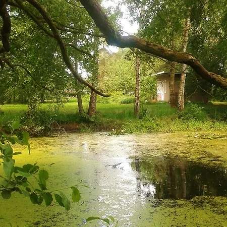 Ferienhaus Kleine Laube Im Wald *