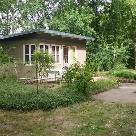 Kleine Laube Im Wald *